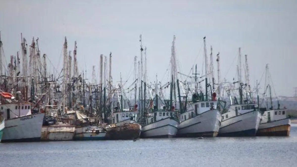 BARCOS CAMARONEROS